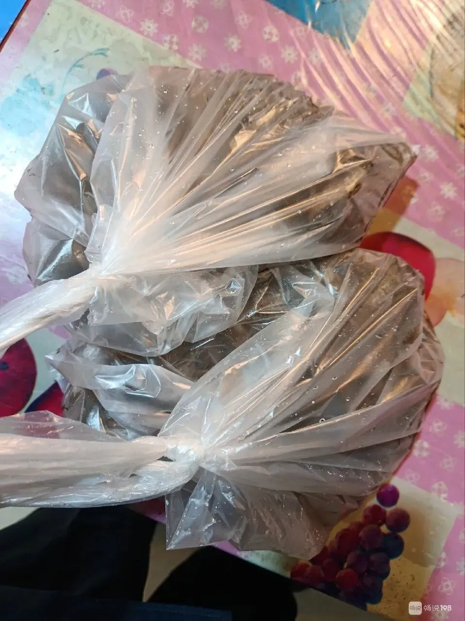 南平社友晒图:现在市场河虾这么便宜!这一斤八两才16块!评论区震惊!