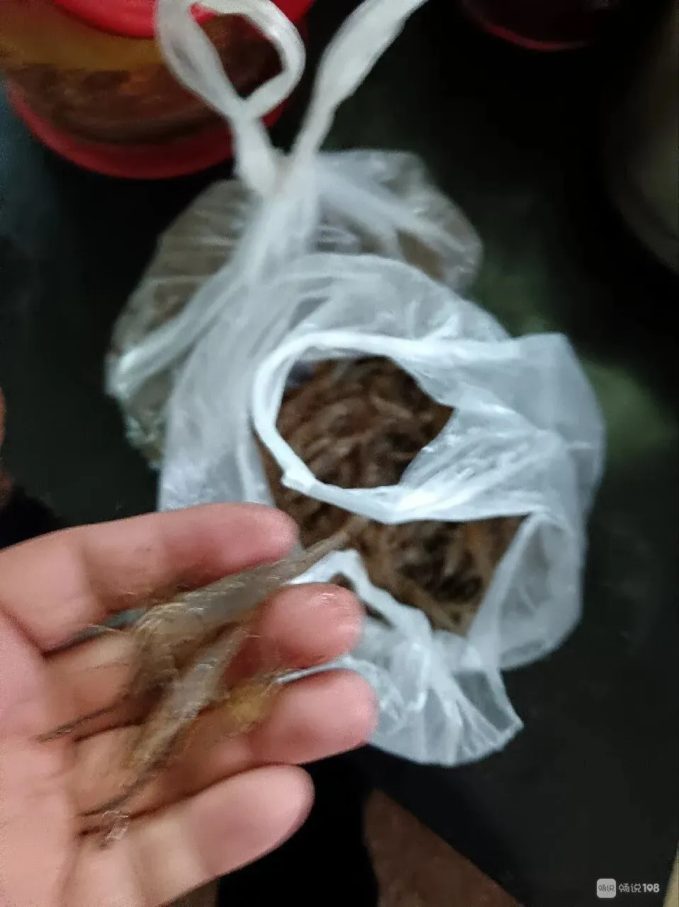 南平社友晒图:现在市场河虾这么便宜!这一斤八两才16块!评论区震惊!