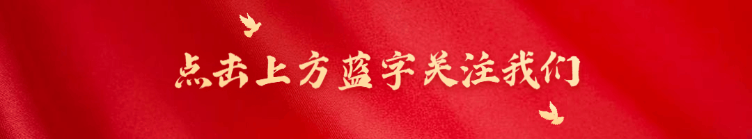 启东市市场监管局——突出党建引领 凝聚为民合力