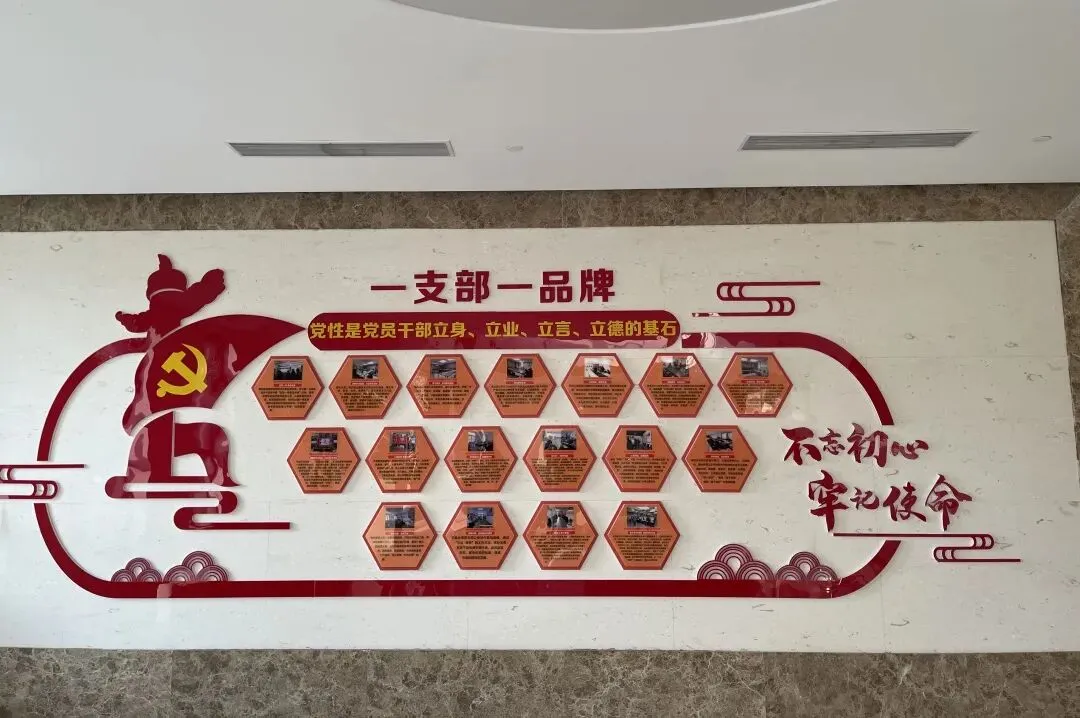 启东市市场监管局——突出党建引领 凝聚为民合力