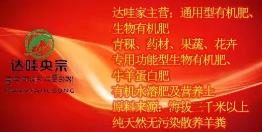 达哇央宗深入漳县、庄浪开展市场调研并签订代理合作 持续拓展区域布局