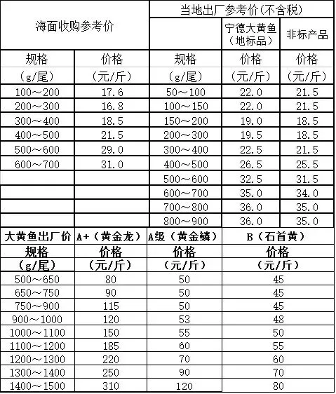 大黄鱼市场行情(2026年04月09日)