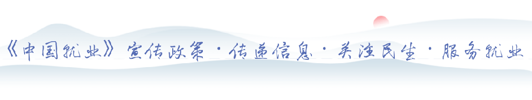 无锡市:零工市场——从“马路市场”到“智配中枢”