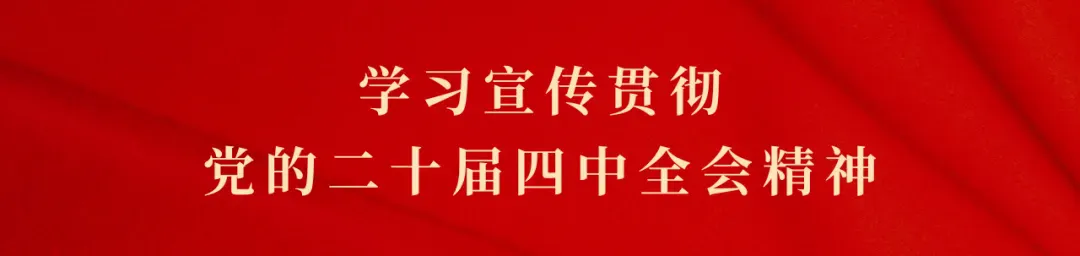 区商务局扎实开展市场运行监测工作 筑牢市场平稳运行防线