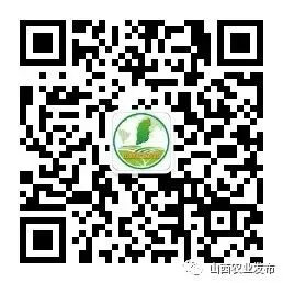 2020年农业农村部春季种子市场专项检查与监测玉米品种纯度田间种植鉴定活动在长治市举行