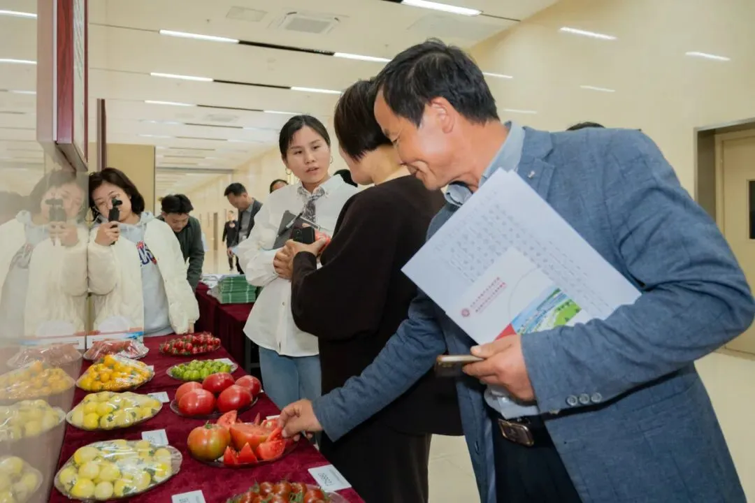 “北柿3A”在山东科技大市场“红”出圈了