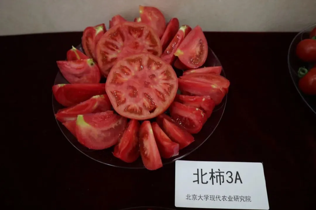 “北柿3A”在山东科技大市场“红”出圈了