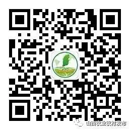 平陆实施“五校融合”模式——拓宽果品营销新途径 趟出乡村振兴新路子