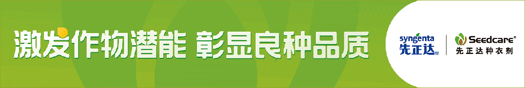 攀登者·赢未来 | 隆昇2025营销启动暨第二届《长青玉杯》种植达人挑战赛政策发布会在亳州举行