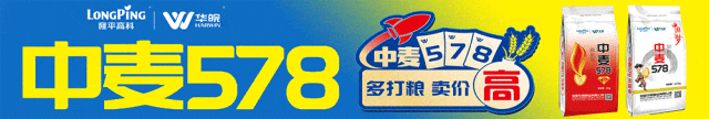 攀登者·赢未来 | 隆昇2025营销启动暨第二届《长青玉杯》种植达人挑战赛政策发布会在亳州举行