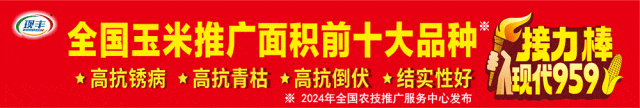 攀登者·赢未来 | 隆昇2025营销启动暨第二届《长青玉杯》种植达人挑战赛政策发布会在亳州举行