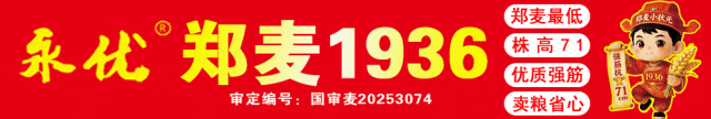 攀登者·赢未来 | 隆昇2025营销启动暨第二届《长青玉杯》种植达人挑战赛政策发布会在亳州举行