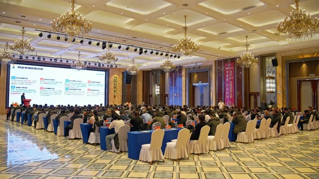 攀登者·赢未来 | 隆昇2025营销启动暨第二届《长青玉杯》种植达人挑战赛政策发布会在亳州举行