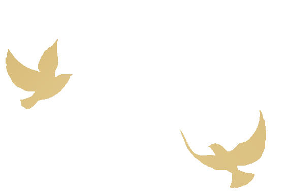 榜样在身边 | 中国煤科信息公司市场营销先进工作者