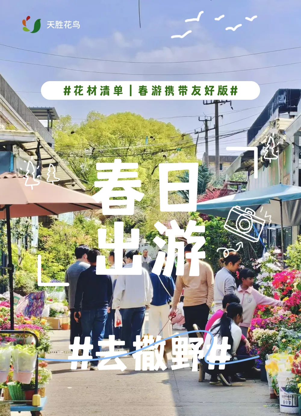 宁波踏春花材指南|天胜花鸟市场:“花 + 宠” 双重快乐,承包这个春天的治愈与仪式感