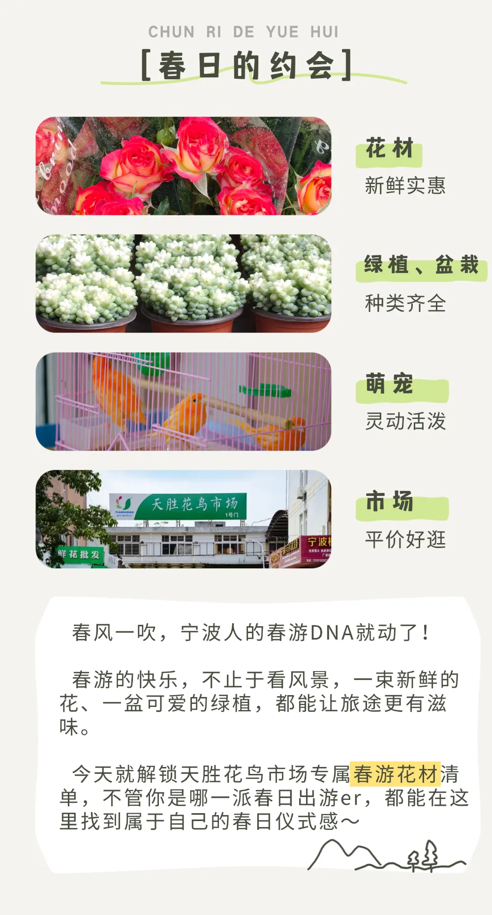 宁波踏春花材指南|天胜花鸟市场:“花 + 宠” 双重快乐,承包这个春天的治愈与仪式感