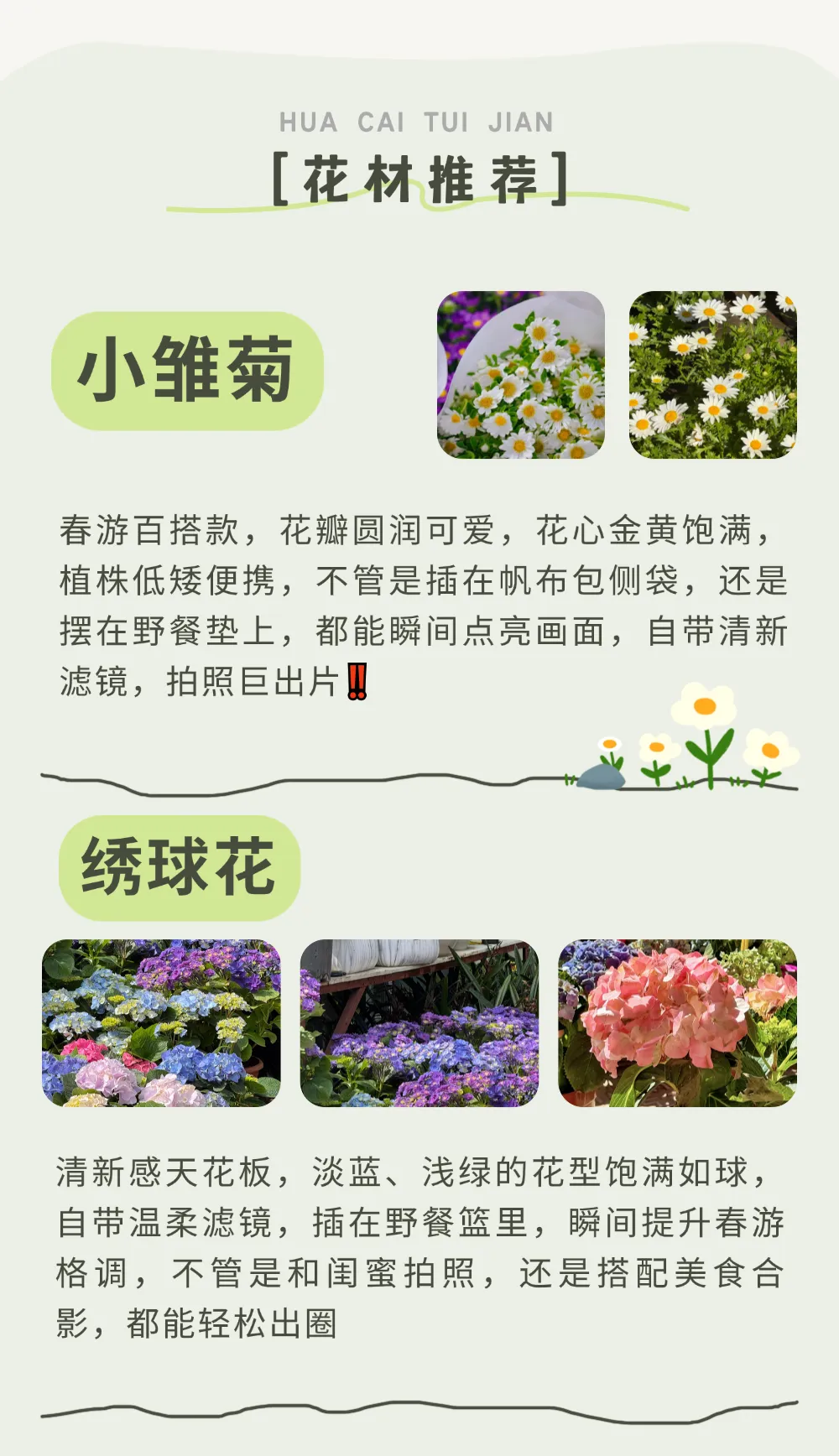 宁波踏春花材指南|天胜花鸟市场:“花 + 宠” 双重快乐,承包这个春天的治愈与仪式感