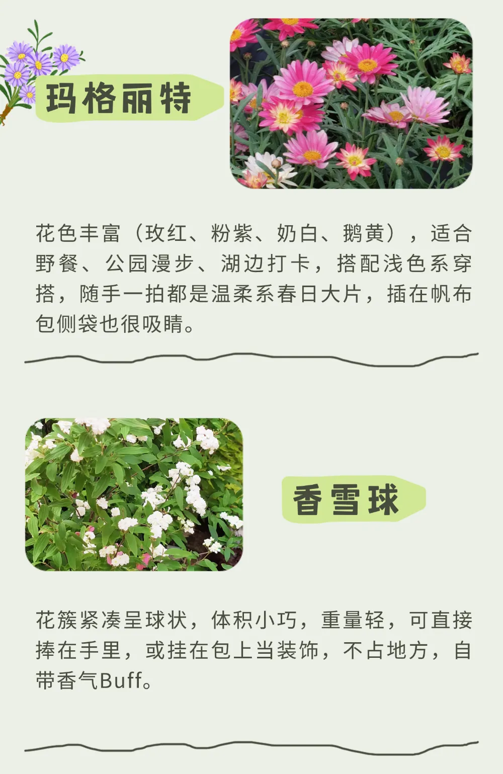 宁波踏春花材指南|天胜花鸟市场:“花 + 宠” 双重快乐,承包这个春天的治愈与仪式感