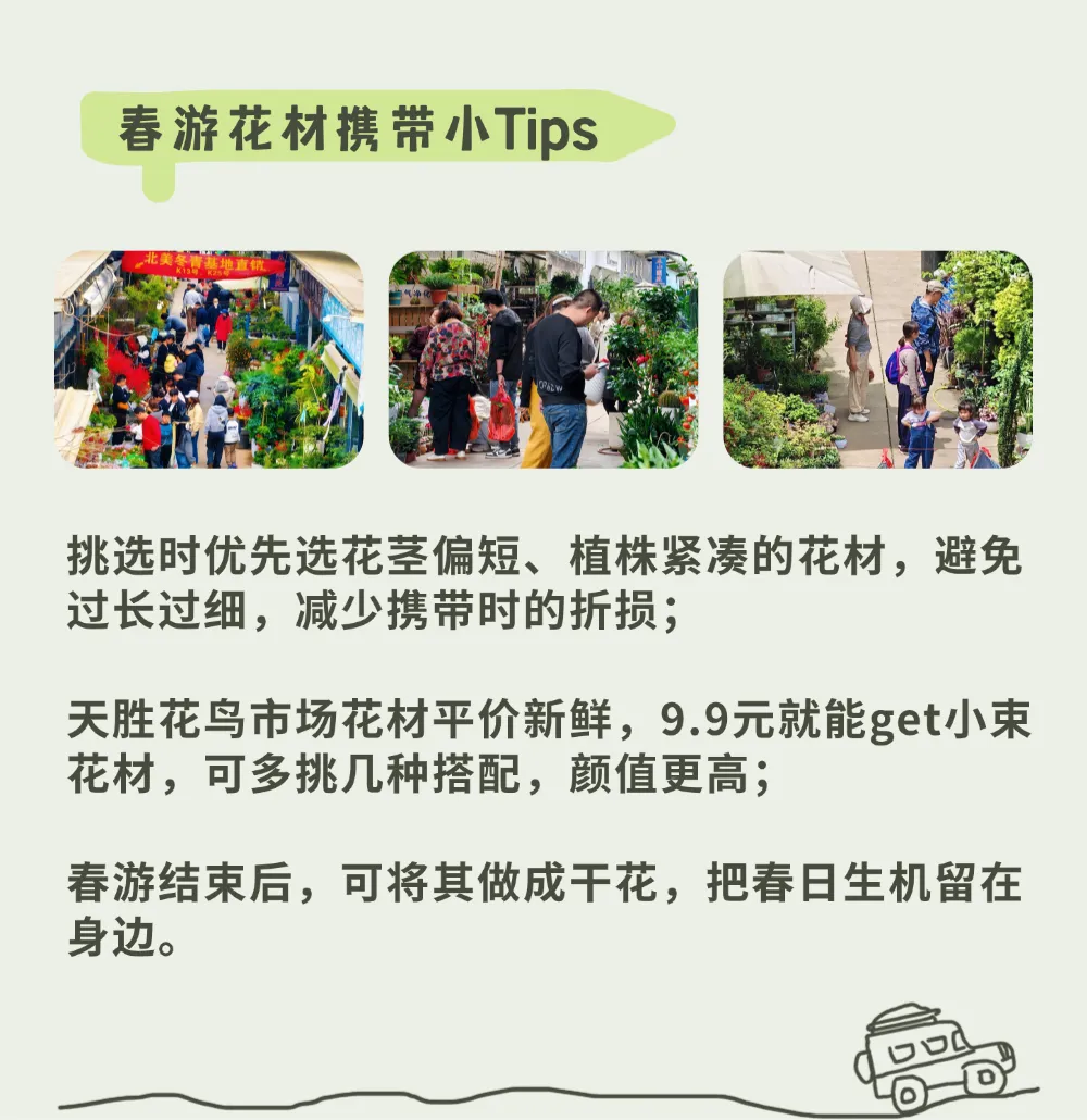 宁波踏春花材指南|天胜花鸟市场:“花 + 宠” 双重快乐,承包这个春天的治愈与仪式感