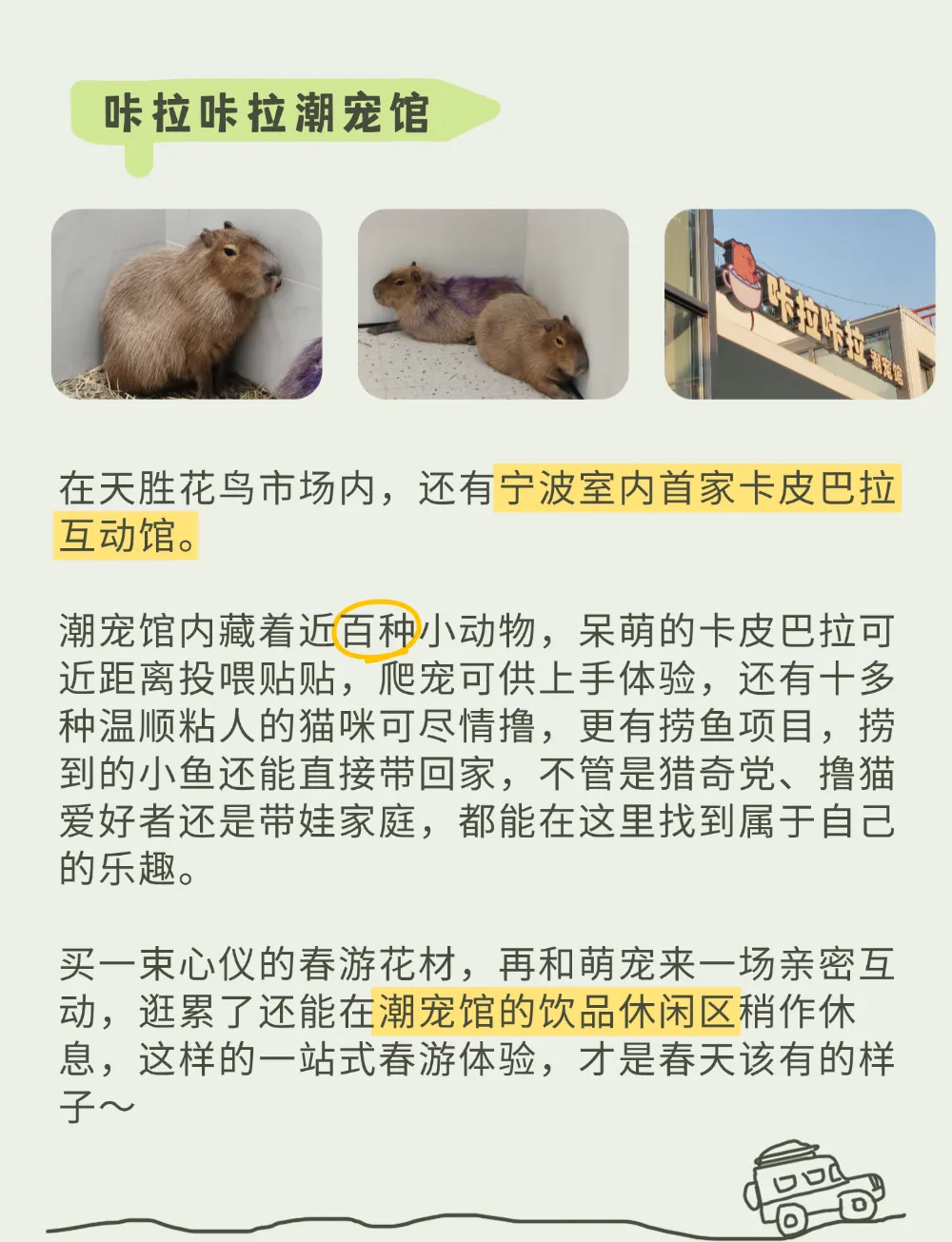 宁波踏春花材指南|天胜花鸟市场:“花 + 宠” 双重快乐,承包这个春天的治愈与仪式感