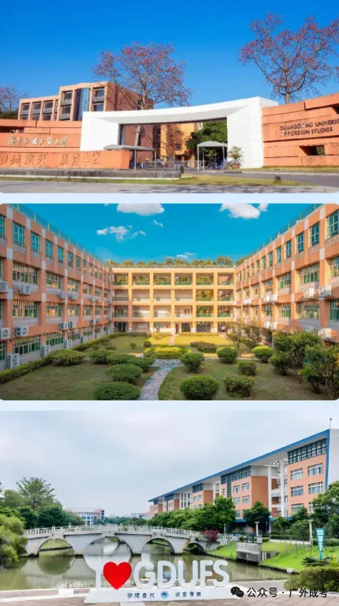 2026年广外成考【市场营销】高起本、专升本专业介绍