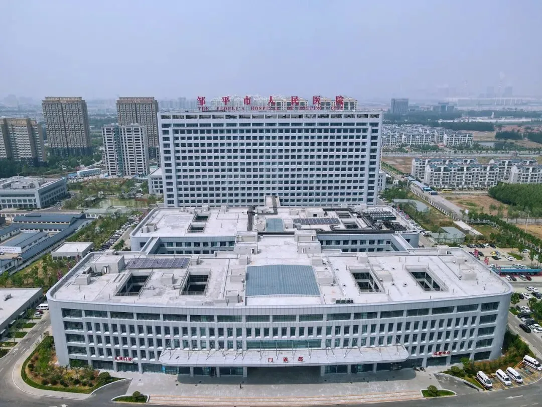 文化品牌故事:聚力“市场深耕”,强化“设计赋能” | 忠诚担当 使命必达