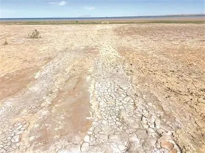 文化品牌故事:聚力“市场深耕”,强化“设计赋能” | 忠诚担当 使命必达