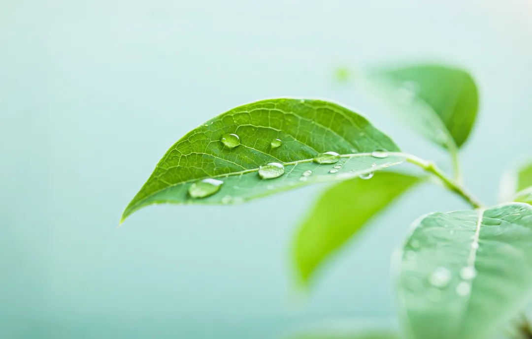 个贷客户营销新思路