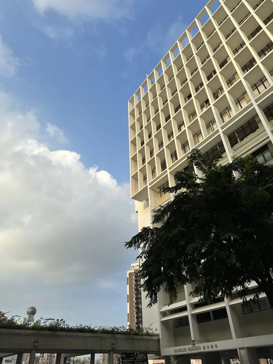 香港大学市场营销硕士深度就读体验