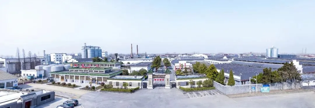 智启营销新征程 数创汤沟新未来 | 汤沟两相和酒业开展“新媒体全链路”专项培训