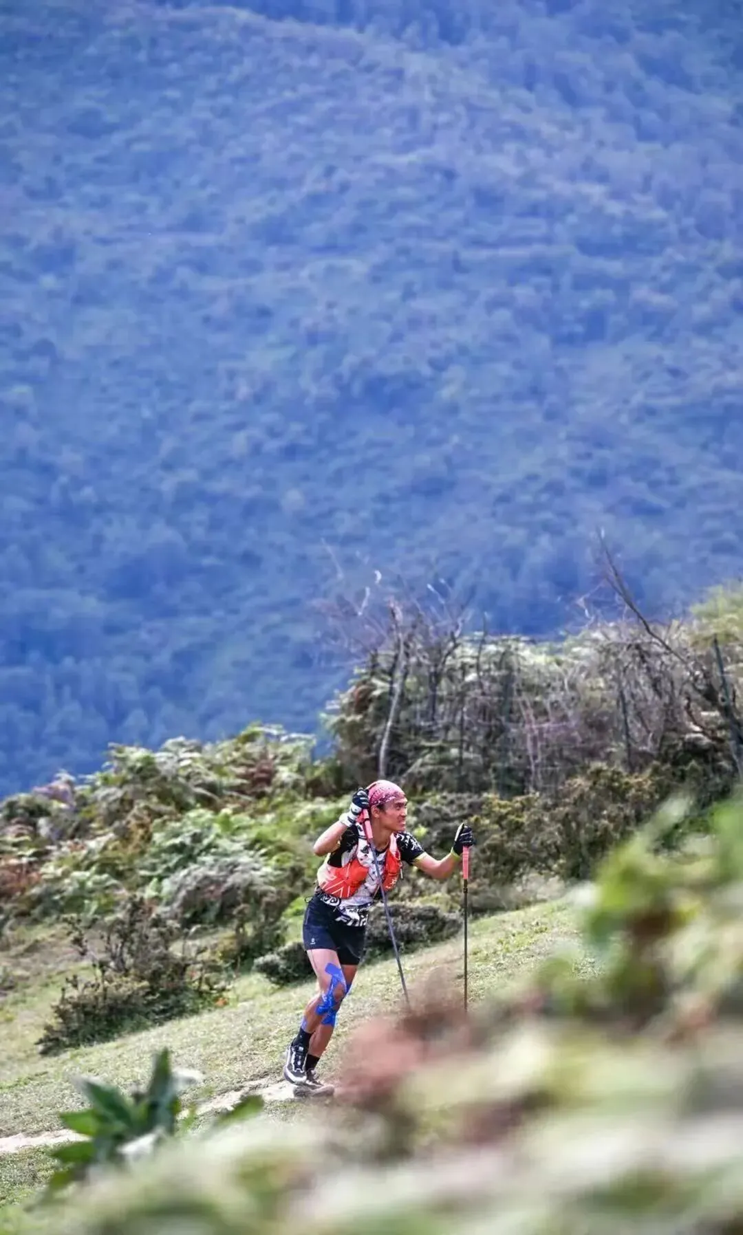 市占率40%背后:越野跑市场的“中国式突围”