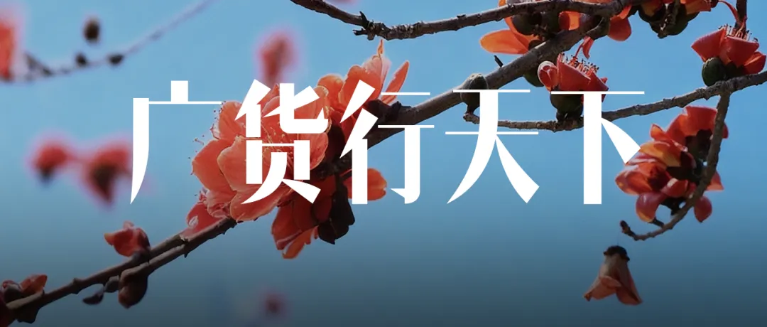 从“天下货聚”到“买卖全球”,广州专业市场的整体跃迁