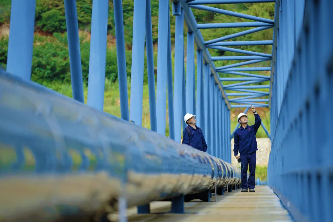 拓市争先!精准营销燃动新动能