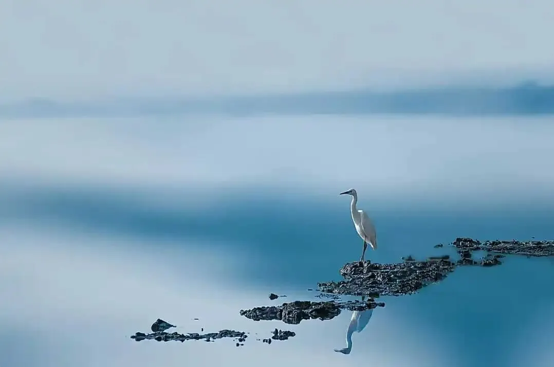 很多人其实不是输给市场