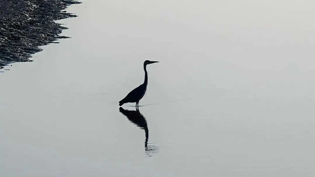 很多人其实不是输给市场