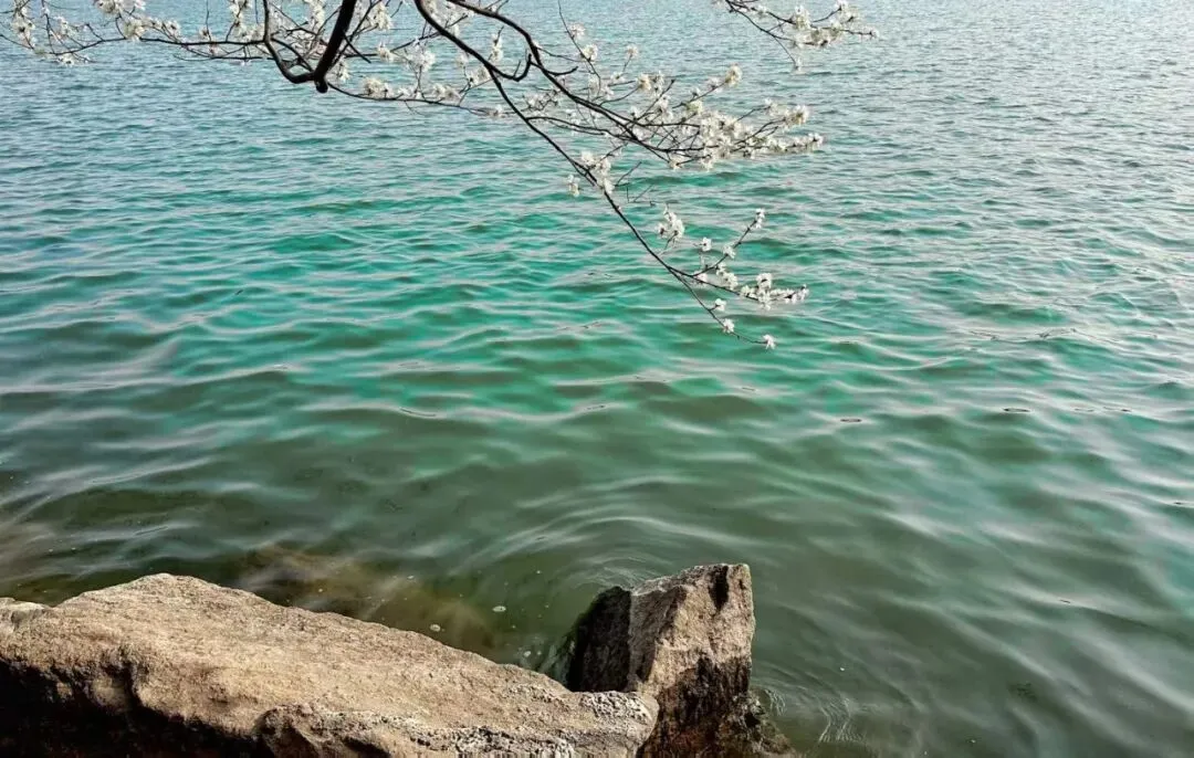 很多人其实不是输给市场