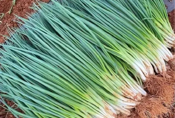 才知道,市场上这6种“药水”蔬菜,菜贩从不给家人吃,建议了解