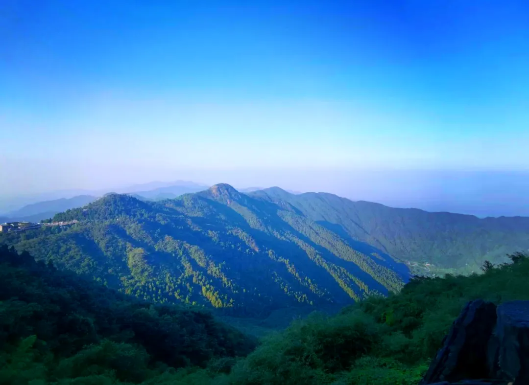 为什么说商业是最大的慈善:市场如何以无形之手行至善之事?