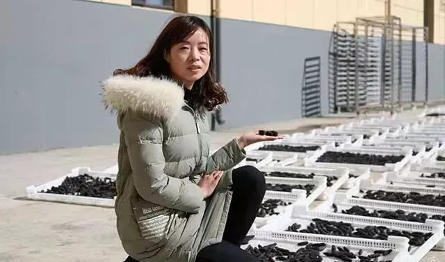 “海参市场”爆雷!这位叫小晴的妹子,在全国火了!