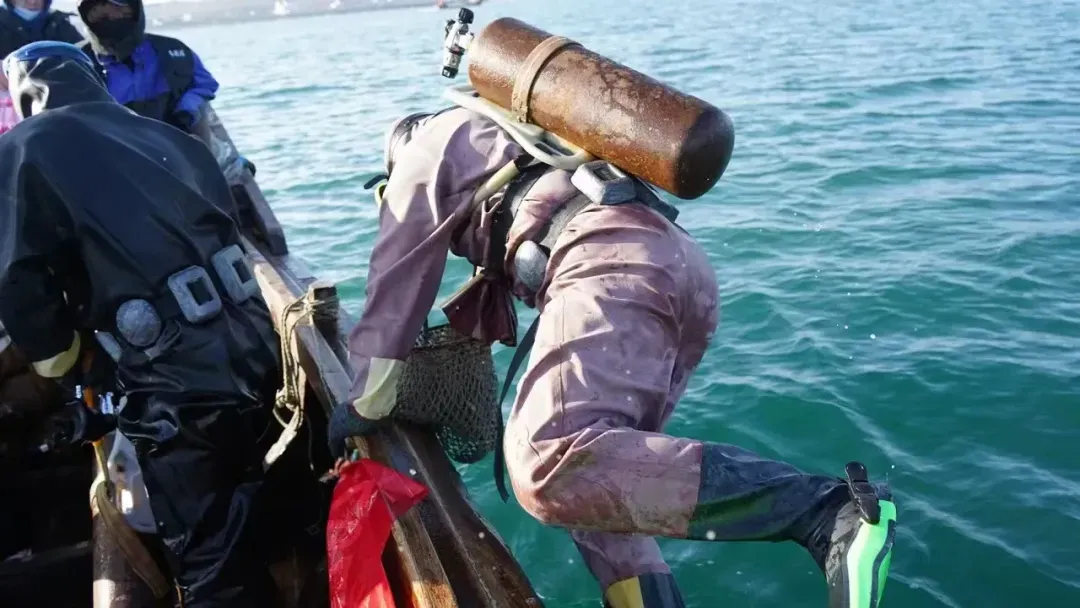 “海参市场”爆雷!这位叫小晴的妹子,在全国火了!