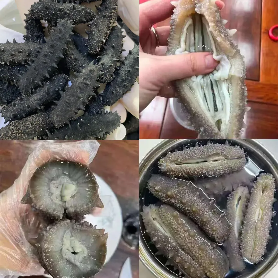 “海参市场”爆雷!这位叫小晴的妹子,在全国火了!