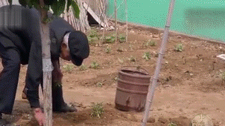 “海参市场”爆雷!这位叫小晴的妹子,在全国火了!