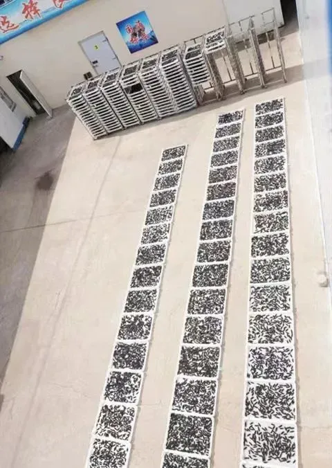 “海参市场”爆雷!这位叫小晴的妹子,在全国火了!