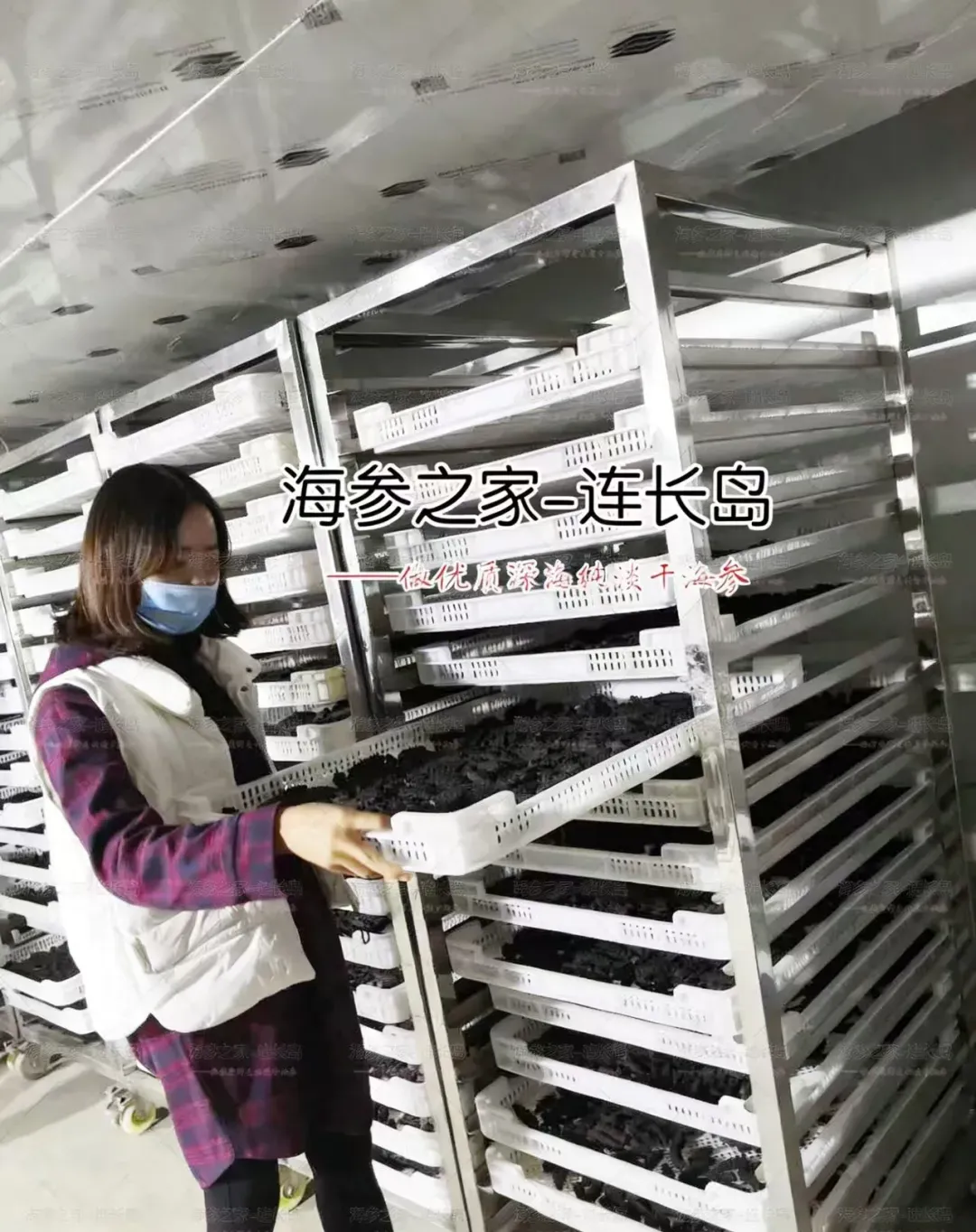 “海参市场”爆雷!这位叫小晴的妹子,在全国火了!