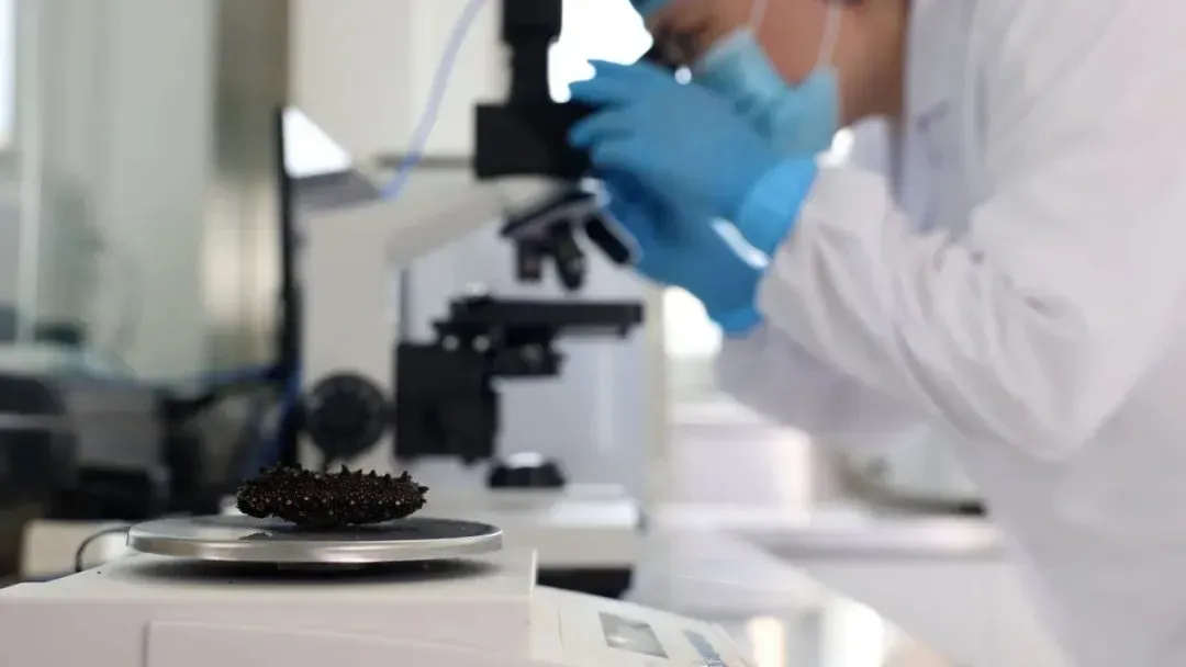 “海参市场”爆雷!这位叫小晴的妹子,在全国火了!