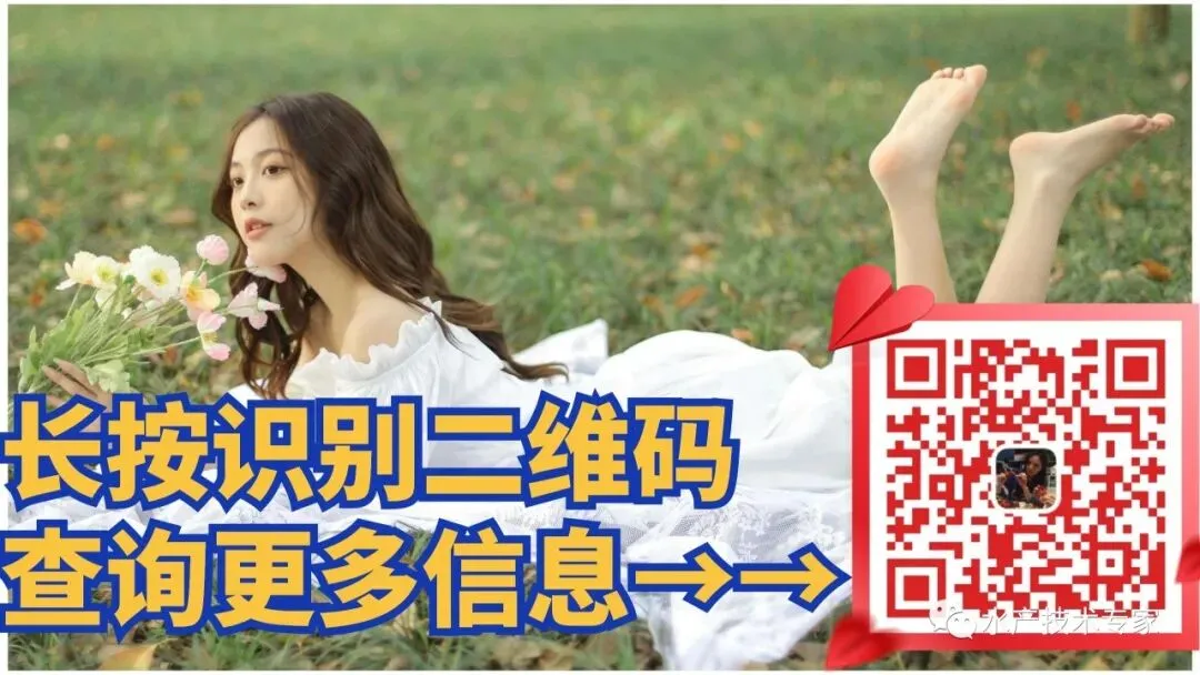 “挂笼”了!江苏射阳占据全国蟹苗市场份额在70%以上