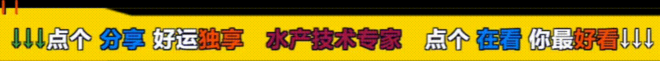 “挂笼”了!江苏射阳占据全国蟹苗市场份额在70%以上