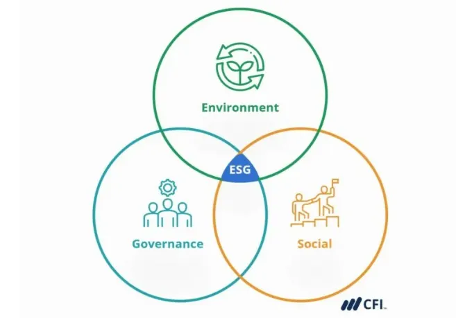 《营销管理》进军全球市场