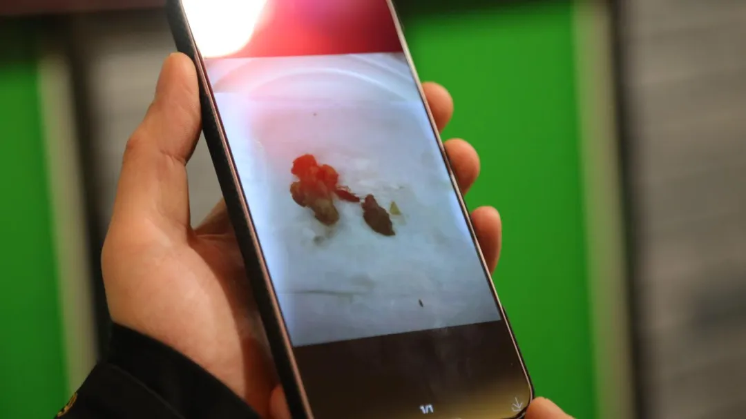 职业团伙5天“碰瓷”索赔6家餐馆!市场监管部门依法查办!