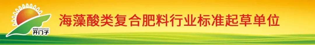 营销精进|深耕业务技能,锻造高效营销铁军